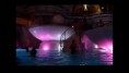 /album/galerie-de-photos-centre-de-thalasso-therapie-et-centre-de-spa/maxresdefault-jpg/